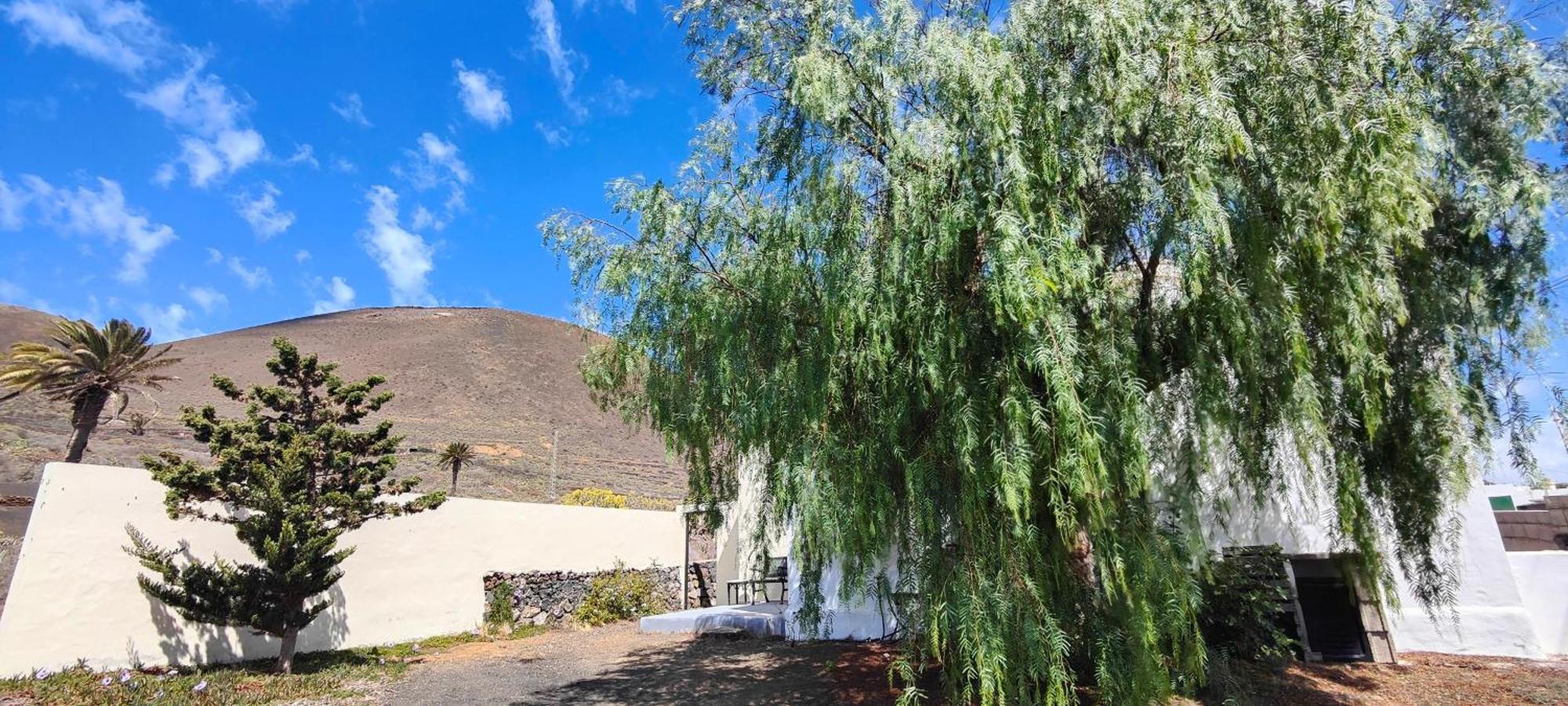 Casa Olga Villa Maguez Bagian luar foto