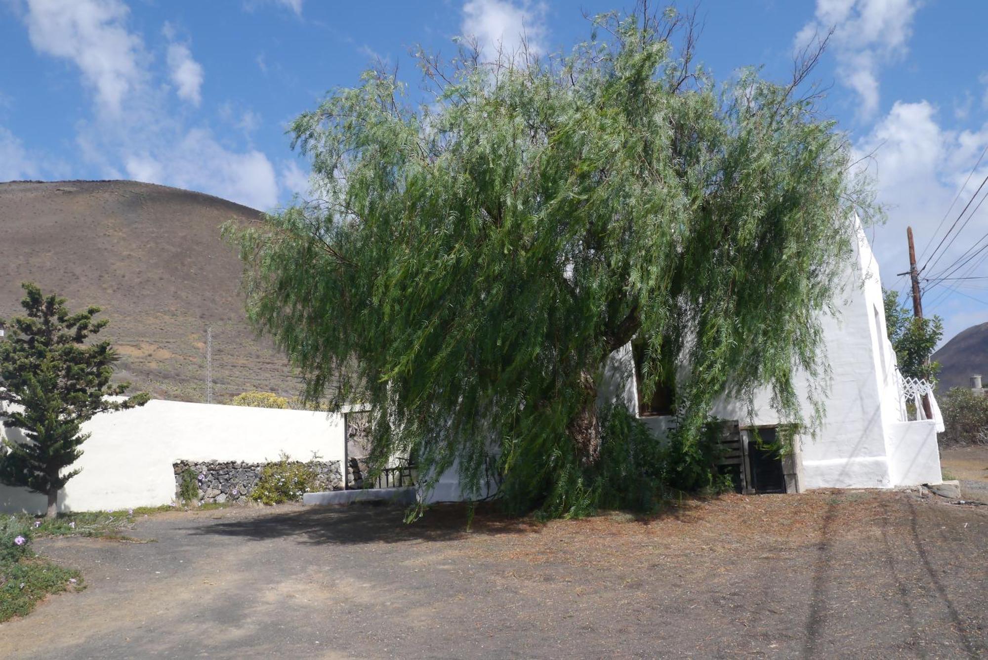 Casa Olga Villa Maguez Bagian luar foto